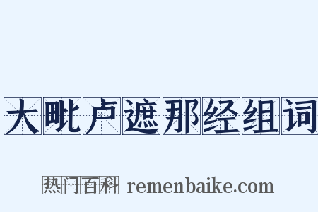 大毗卢遮那经组词是什么意思的图片